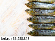 Marinated sardines on wooden table. Стоковое фото, фотограф Яков Филимонов / Фотобанк Лори