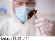 Young male chemist zoologist working at the lab during pandemic. Стоковое фото, фотограф Elnur / Фотобанк Лори