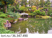 Kyu-yasuda garden, a small japanese stroll garden located in Ryogoku. Tokyo. Japan (2019 год). Стоковое фото, фотограф Сергей Пристяжнюк (Serg Zastavkin) / Фотобанк Лори