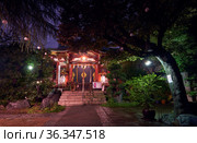 Small local shrine in Shibuya at night. Tokyo. Japan (2019 год). Редакционное фото, фотограф Сергей Пристяжнюк (Serg Zastavkin) / Фотобанк Лори