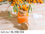 Hippophae sea buckthorn cosmetic oil in a glass bottle with a pipette on a background with copy space, alternative herbal medicine and cosmetology, natural immunomodulator. Стоковое фото, фотограф Светлана Евграфова / Фотобанк Лори