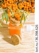 Hippophae sea buckthorn cosmetic oil in a glass bottle with a pipette on a background with copy space, alternative herbal medicine and cosmetology, natural immunomodulator. Стоковое фото, фотограф Светлана Евграфова / Фотобанк Лори