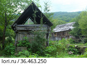ld abandoned house in the village. Стоковое фото, фотограф Марина Володько / Фотобанк Лори
