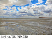 Salt lake Baskunchak, Astrakhan region. Wild nature of Russia.Panoramic view. Баскунчак. Стоковое фото, фотограф Oleg Borunov / Фотобанк Лори