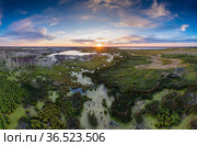 Западная Сибирь. Большое болото, мёртвые берёзы. Western Siberia. A big swamp, dead birches. Стоковое фото, фотограф Евгений Романов / Фотобанк Лори