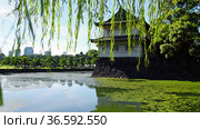 Weeping willow over the moat with the Sakuradayagura on the background.Tokyo Imperial Palace. Japan (2021 год). Стоковое видео, видеограф Сергей Пристяжнюк (Serg Zastavkin) / Фотобанк Лори
