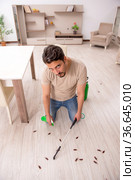 Young man exterminating cockroaches at home. Стоковое фото, фотограф Elnur / Фотобанк Лори