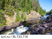Водопад "Кивач". Река Суна. Республика Карелия. Стоковое фото, фотограф Сергей Афанасьев / Фотобанк Лори