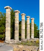 Athena temple in Priene, Turkey. Стоковое фото, фотограф Яков Филимонов / Фотобанк Лори