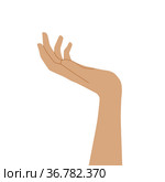 Two hand, palms up. Vector illustration, flat cartoon minimal design isolated. Стоковая иллюстрация, иллюстратор Allika / Фотобанк Лори
