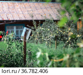 A glass jar on stick in the country backyard. Стоковое фото, фотограф Александр Новиков / Фотобанк Лори