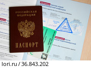 Российский паспорт, карточка  медицинского страхования и сертификат о вакцинации против новой коронавирусной инфекции (COVID-19) вакциной "Спутник Лайт" (2021 год). Редакционное фото, фотограф Щеголева Ольга / Фотобанк Лори