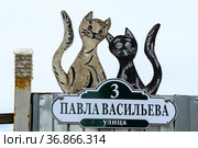Улица Павла Васильева, 3. Табличка с указанием названия улицы и номера дома. Деревня Селищи, Чудовский район, Новгородская область (2021 год). Редакционное фото, фотограф Александр Щепин / Фотобанк Лори