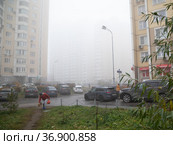 Москва, микрорайон Марфино, СВАО. Женщина в красной куртке с маленькой собачкой на газоне внутри жилого квартала. Низкая видимость, плотный туман накрыл город (2021 год). Редакционное фото, фотограф Наталья Николаева / Фотобанк Лори