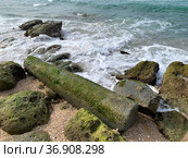 Rocks and an ancient Roman column on the shores of the Mediterranean Sea (2021 год). Стоковое фото, фотограф Irina Opachevsky / Фотобанк Лори