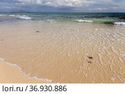 Fuerteventura, Canary Islands, beaches collectively called Grandes Playas on the edge of Nature Park Dunes of Corralejo (2021 год). Стоковое фото, фотограф Tamara Kulikova / Фотобанк Лори