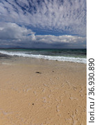 Fuerteventura, Canary Islands, beaches collectively called Grandes Playas on the edge of Nature Park Dunes of Corralejo (2021 год). Стоковое фото, фотограф Tamara Kulikova / Фотобанк Лори