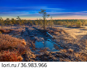 Country road in taiga during autumn. Стоковое фото, фотограф Владимир Мельников / Фотобанк Лори