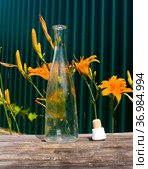 The bottle cap lies next to an empty alcohol bottle. Стоковое фото, фотограф Александр Клёнов / Фотобанк Лори