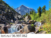 Alpine landscape with a cascade of water on a mountain stream (2014 год). Редакционное фото, фотограф Виктор Никитин / Фотобанк Лори