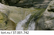 Кавказские горы. Каньон реки Кудепста. Субтропический лес. The Caucasus Mountains. Kudepsta River Canyon. Subtropical forest. Стоковое видео, видеограф Евгений Романов / Фотобанк Лори