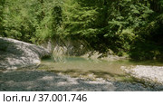 Кавказские горы. Каньон реки Кудепста. Субтропический лес. The Caucasus Mountains. Kudepsta River Canyon. Subtropical forest. Стоковое видео, видеограф Евгений Романов / Фотобанк Лори