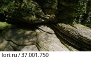 Кавказские горы. Каньон реки Кудепста. Субтропический лес. The Caucasus Mountains. Kudepsta River Canyon. Subtropical forest. Стоковое видео, видеограф Евгений Романов / Фотобанк Лори
