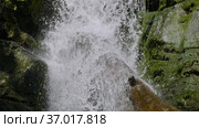 Кавказские горы. Река Дикарка и Змеевские водопады. Caucasus Mountains. Dikarka River and the Zmeykovsky waterfalls. Стоковое видео, видеограф Евгений Романов / Фотобанк Лори