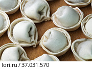 Raw frozen ravioli. Стоковое фото, фотограф Владимир Белобаба / Фотобанк Лори