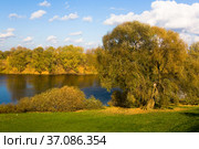 Beautiful autumn landscape with a river on a sunny day. Стоковое фото, фотограф Александр Клёнов / Фотобанк Лори