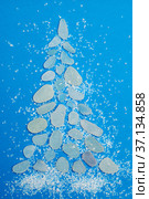 Christmas tree made of a pieces of seaglas. Стоковое фото, фотограф Tamara Kulikova / Фотобанк Лори