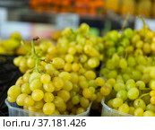 Bunches of kish-mish grapes in the store. Стоковое фото, фотограф Яков Филимонов / Фотобанк Лори
