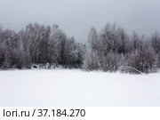 Beautiful landscape with snow covered trees and cloudy sky. Стоковое фото, фотограф Александр Клёнов / Фотобанк Лори