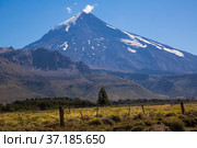 View of Lanin Volcano in National Park of Argentina. Стоковое фото, фотограф Яков Филимонов / Фотобанк Лори