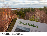 Пейзаж с видом на озеро Чайка. Туристический маршрут "Высота Мюллера". Национальный парк "Куршская коса". Калининградская область (2021 год). Редакционное фото, фотограф Сергей Афанасьев / Фотобанк Лори