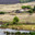Rural landscape with a village on the banks of a pond and fields. Russia, Orenburg region, farm Arapovka. Стоковое фото, фотограф Вадим Орлов / Фотобанк Лори