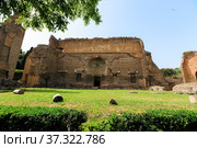 Scenic view of Terme di Caracalla in Rome. Umbrella pines in vast around ruins (2013 год). Стоковое фото, фотограф Ирина Мойсеева / Фотобанк Лори