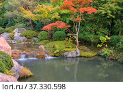 A new pond garden or yoko-en of Taizo-in temple at autumn. Kyoto. Japan. Стоковое фото, фотограф Сергей Пристяжнюк (Serg Zastavkin) / Фотобанк Лори
