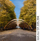 Sokolniki park, sunny autumn day wooden arch (2018 год). Стоковое фото, фотограф Фотограф / Фотобанк Лори