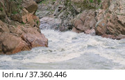 Кавказские горы, Адыгея. Река Белая в Гранитном каньоне. The Caucasus Mountains, Adygeya. Belaya river in the Granite gorge. Стоковое видео, видеограф Евгений Романов / Фотобанк Лори
