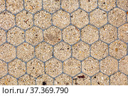 Close-up of a cellular pattern garden sand pathway. Стоковое фото, фотограф Сергей Новиков / Фотобанк Лори