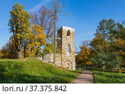 Россия. Стрельна. Орловский парк. Руинная башня (2021 год). Редакционное фото, фотограф Литвяк Игорь / Фотобанк Лори