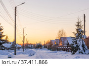 Village street with electric poles in winter. Стоковое фото, фотограф Дмитрий Тищенко / Фотобанк Лори