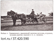 Выезд господина Домашевского, украшенный салатом-латуком, огурцами, пучками редиски, моркови и другими овощами. Праздник цветов 23 мая 1902 года на Ходынском поле в Москве. Иллюстрация из журнала "Московский листок" 1902 года. Стоковая иллюстрация, иллюстратор Макаров Алексей / Фотобанк Лори