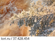 One of the most famous places in the Republic of Karelia is the Ruskeala waterfalls (the filming location of the Soviet film "The Dawns Here Are Quiet...") in the winter season. Traveling in Russia, Republic of Karelia. Стоковое фото, фотограф Алексей Кокоулин / Фотобанк Лори