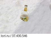 Пустая бутылка брошенная в снег. Липецк. (2022 год). Редакционное фото, фотограф Евгений Будюкин / Фотобанк Лори