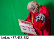 Зловещий гном читает книгу мертвых с заклинаниями. Стоковое фото, фотограф Геннадий Лесневский / Фотобанк Лори