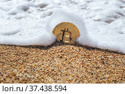 Биткойн накрывает волна на песчаном берегу. Стоковое фото, фотограф София Тюленева / Фотобанк Лори