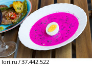 Cold yogurt beetroot soup. Стоковое фото, фотограф Яков Филимонов / Фотобанк Лори