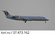 MOSCOW, RUSSIA, May 12, 2018: Company Severstal passenger plane comes in to land in to the airport Sheremetyevo, Russia. Стоковое фото, фотограф Фотограф / Фотобанк Лори